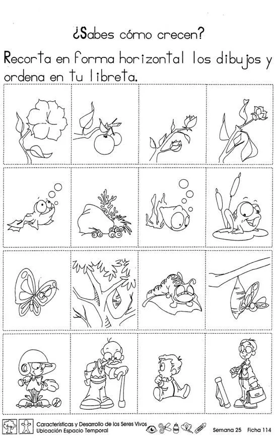 40 ideas de Seres vivos e inertes. | seres vivos e inertes, seres vivos,  animales animados para colorear