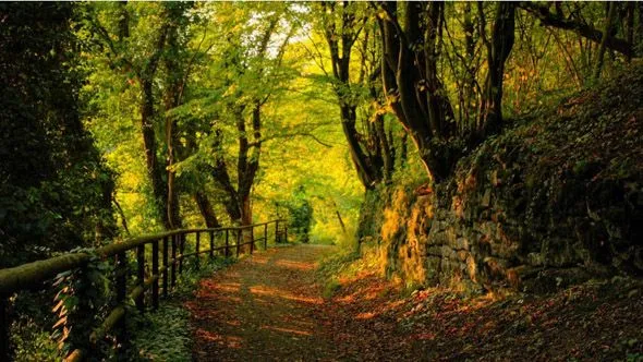 40 Wallpapers HD de paisajes 1920 x 1080 – Puerto Pixel | Recursos ... 40 Wallpapers HD de paisajes 1920 x 1080 – Puerto Pixel | Recursos ...