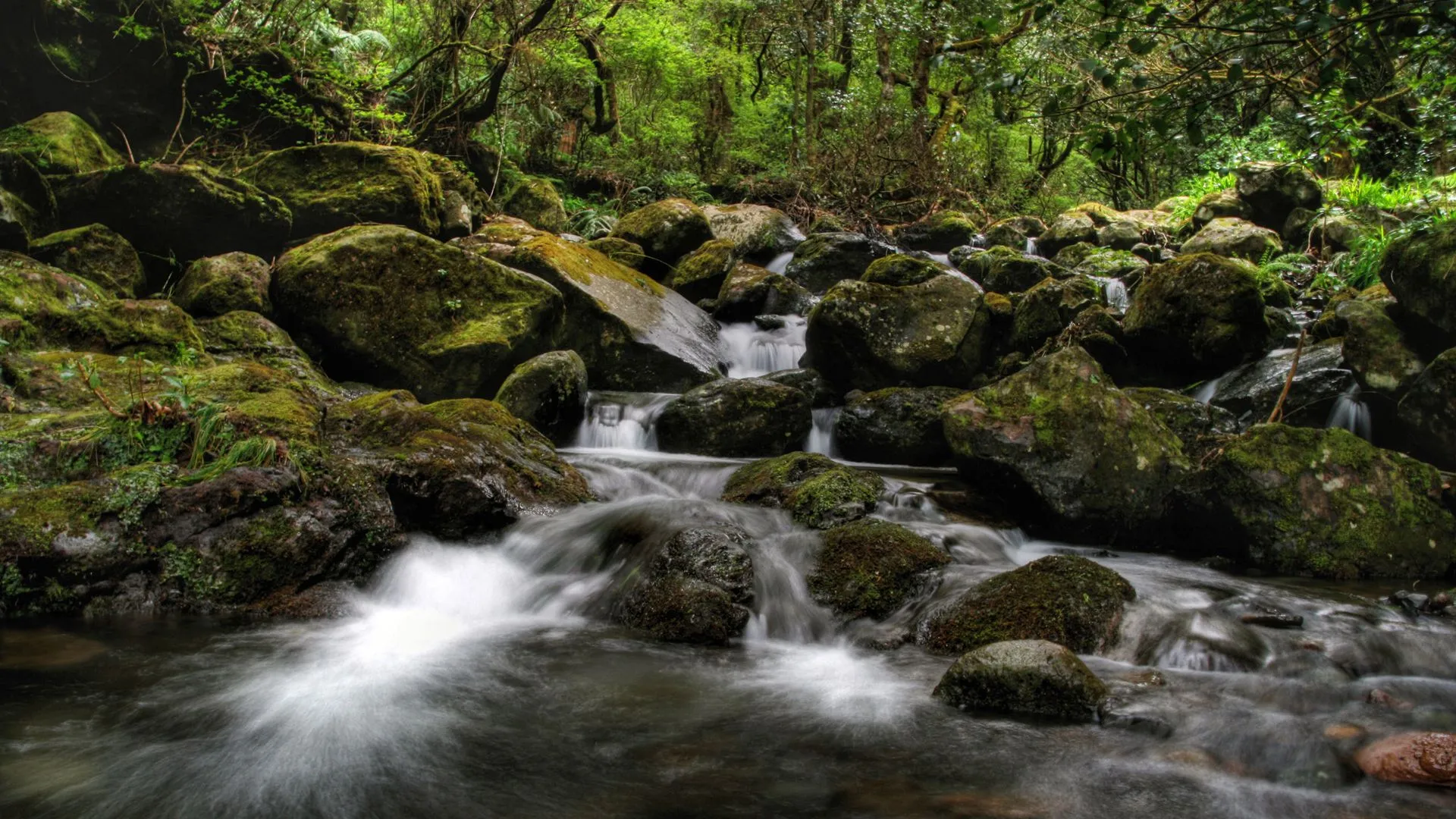 40 Wallpapers de paisajes y naturaleza Full HD 1080 | Wallpapers ... 40 Wallpapers de paisajes y naturaleza Full HD 1080 | Wallpapers ...