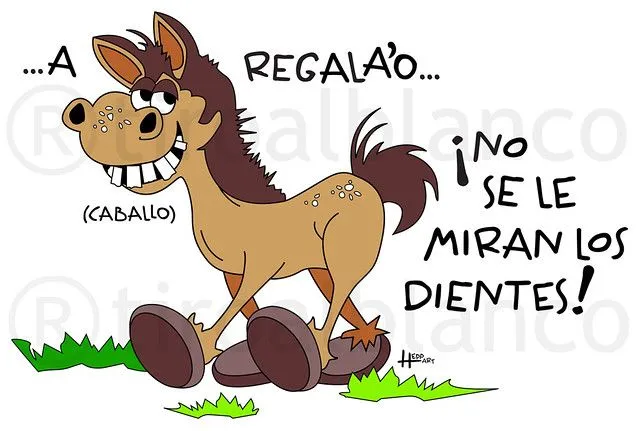 4190886853_6625853e9e_z.jpg?zz=1