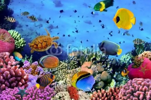 43735584[1].jpg