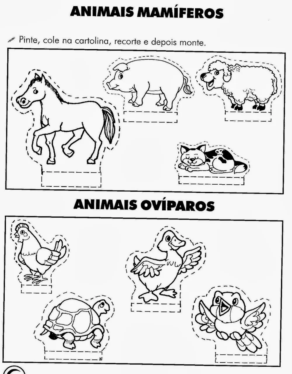 46 ideas de Animales | animales, actividades, animales oviparos 46 ideas de Animales | animales, actividades, animales oviparos