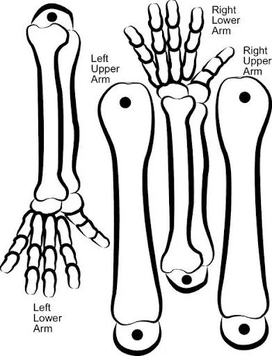 470_156158.jpg?imgmax=640