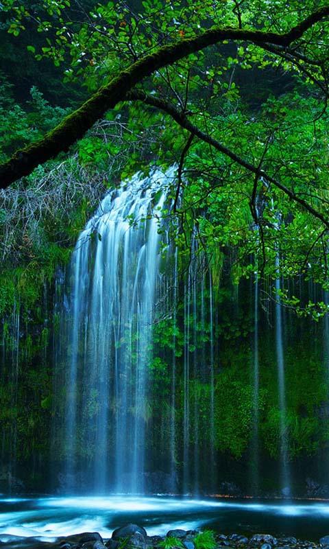 4D Waterfall Live Wallpaper - Aplicaciones de Android en Google Play