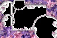 4shared - View all images at CORES - LILÁS E VIOLETA folder 4shared - View all images at CORES - LILÁS E VIOLETA folder