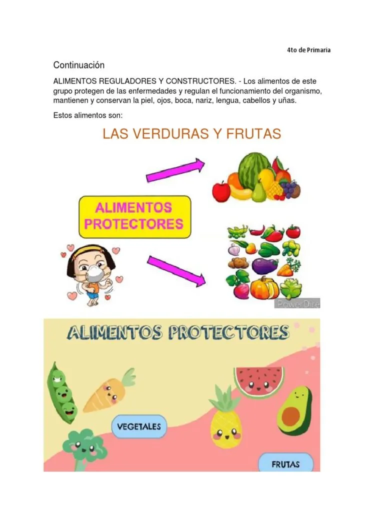 4to de Primaria ALIMENTOS REGULADORES CONTINUACION | PDF 4to de Primaria ALIMENTOS REGULADORES CONTINUACION | PDF
