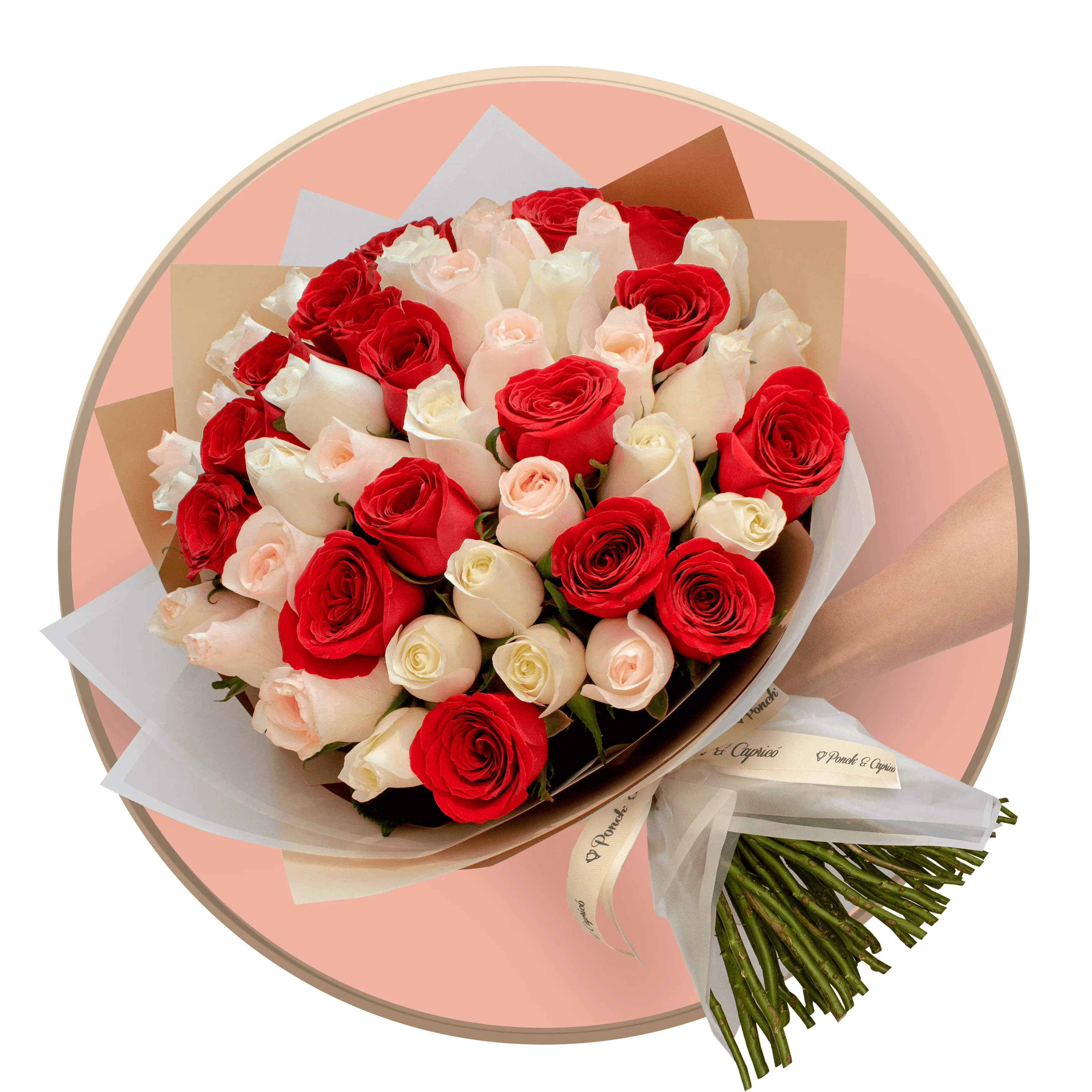 50, 100 o 150 Rosas Rojas, Hermosas, Peach Avalanche y Señorita en Ram — Ponch' & Capricó 50, 100 o 150 Rosas Rojas, Hermosas, Peach Avalanche y Señorita en Ram — Ponch' & Capricó
