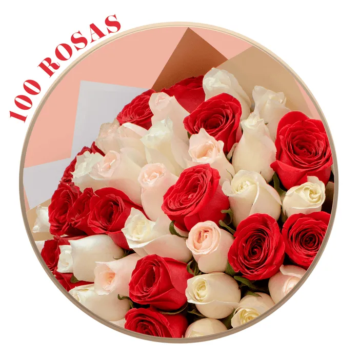 50, 100 o 150 Rosas Rojas, Hermosas, Peach Avalanche y Señorita en Ram — Ponch' & Capricó 50, 100 o 150 Rosas Rojas, Hermosas, Peach Avalanche y Señorita en Ram — Ponch' & Capricó
