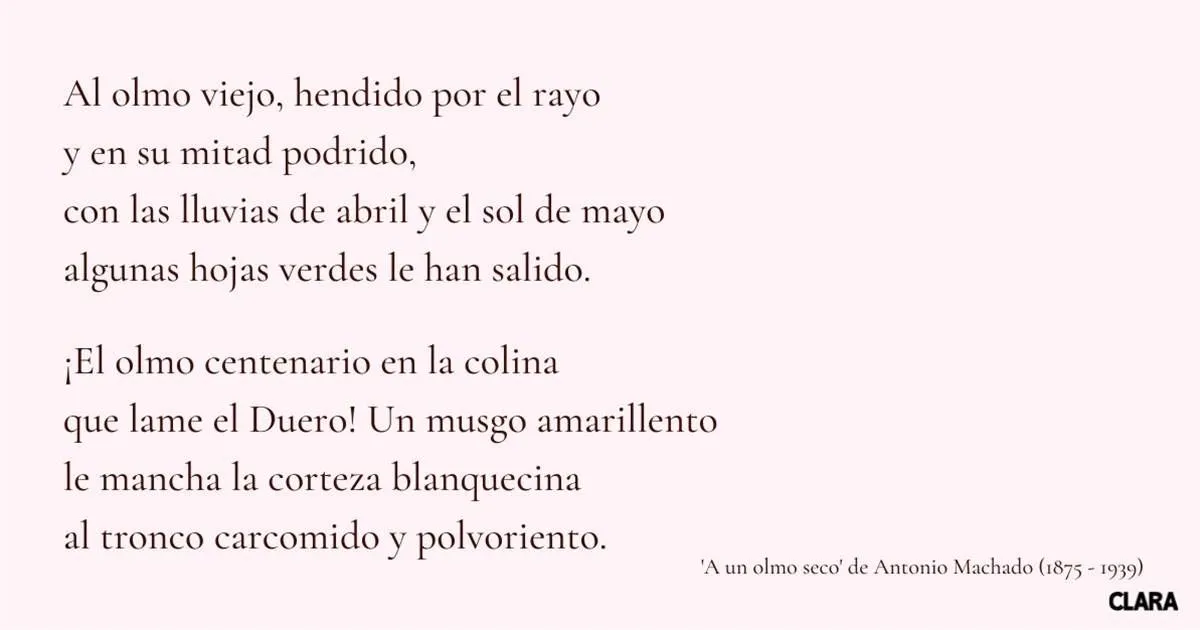 Los 50 poemas más bonitos en lengua española Los 50 poemas más bonitos en lengua española