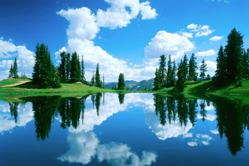 50 Wallpapers HD con bellos motivos de la naturaleza. | Dfans Studio 50 Wallpapers HD con bellos motivos de la naturaleza. | Dfans Studio
