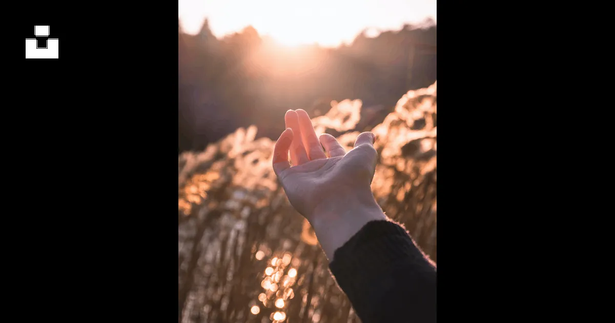 Más de 500 fotos de manos de chicas | Descargar imágenes gratis en Unsplash Más de 500 fotos de manos de chicas | Descargar imágenes gratis en Unsplash
