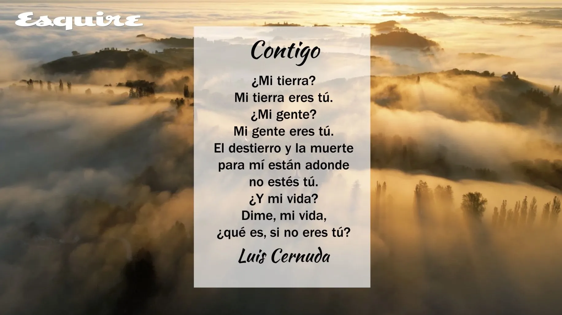 58 poemas de amor cortos y bonitos para dedicar a alguien 58 poemas de amor cortos y bonitos para dedicar a alguien