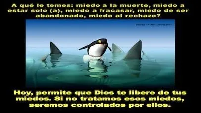Recursos Cristianos Gratis - Biblia y Reflexion... Recursos Cristianos Gratis - Biblia y Reflexion...