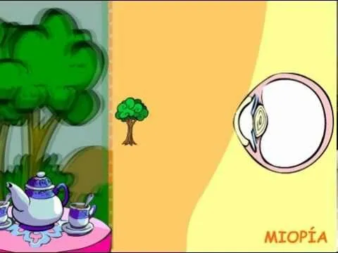 6.- Cuidado de nuestros sentidos.- La Vista - YouTube 6.- Cuidado de nuestros sentidos.- La Vista - YouTube