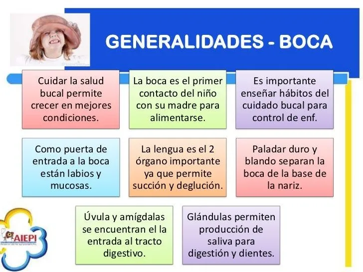 6-verificar-la-salud-bucal-del ...