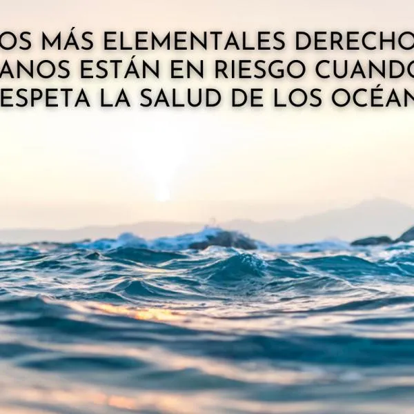 60 Frases para CUIDAR el AGUA - Ideales para REFLEXIONAR 60 Frases para CUIDAR el AGUA - Ideales para REFLEXIONAR
