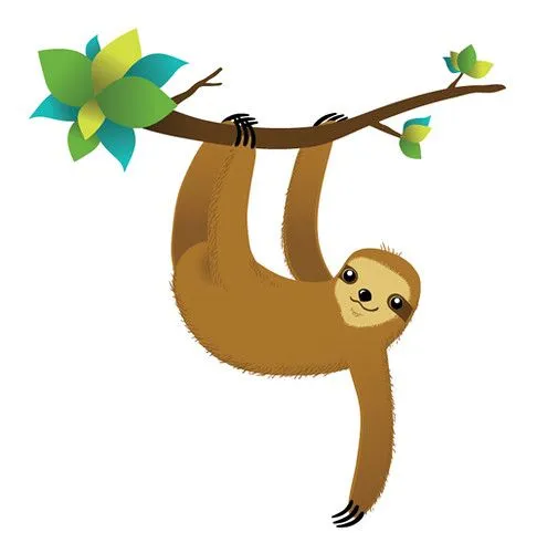 Como dibujar un oso perezoso - Imagui