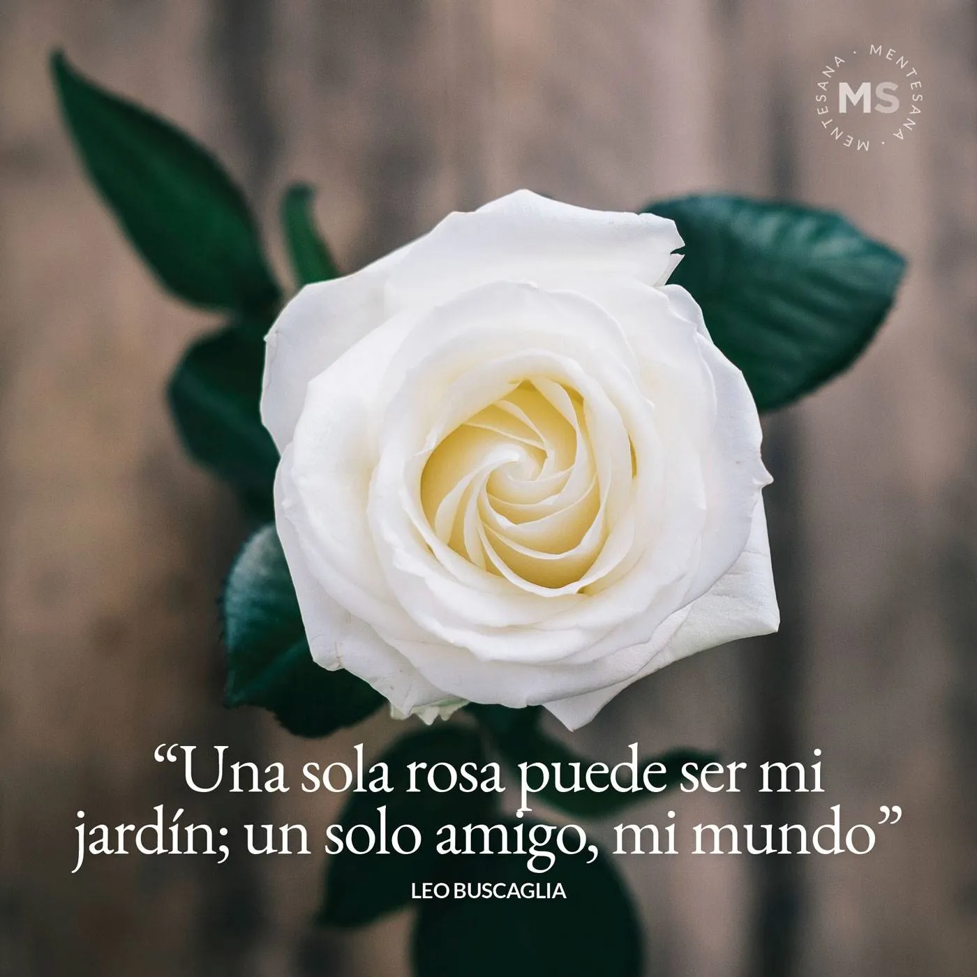 65 frases sobre la amistad verdadera