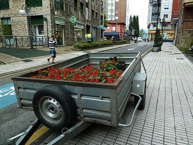 650_1200.jpg