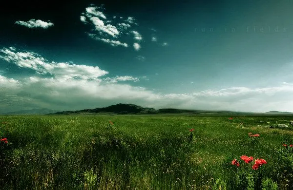 66 fondos de escritorio en alta resolución sobre la naturaleza ... 66 fondos de escritorio en alta resolución sobre la naturaleza ...