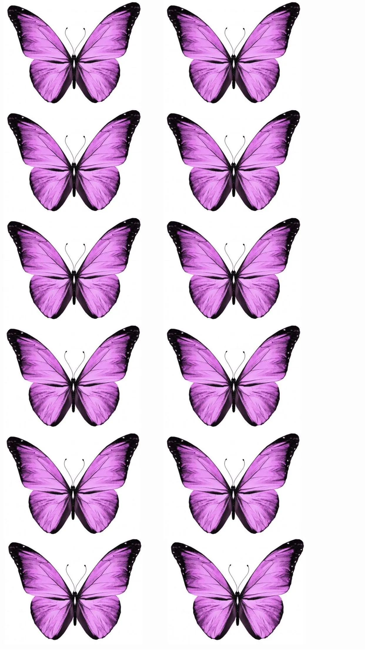 71 ideas de MARIPOSA en 2023 | mariposas para imprimir, decoración de unas, imprimir sobres 71 ideas de MARIPOSA en 2023 | mariposas para imprimir, decoración de unas, imprimir sobres