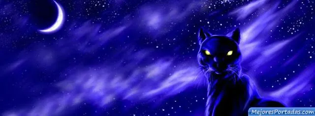 Pantera con luna llena - ÷ Las Mejores Portadas para tu perfil de ... Pantera con luna llena - ÷ Las Mejores Portadas para tu perfil de ...