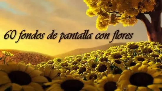 78 hermosos fondos de pantalla con flores y pájaros | Recursos ...