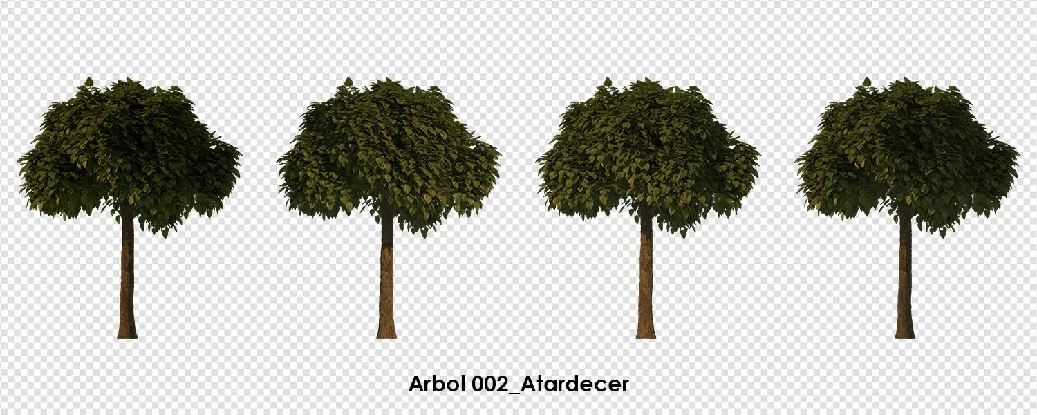 80 Arboles PNG para descargar gratis - Gov3dstudio 80 Arboles PNG para descargar gratis - Gov3dstudio