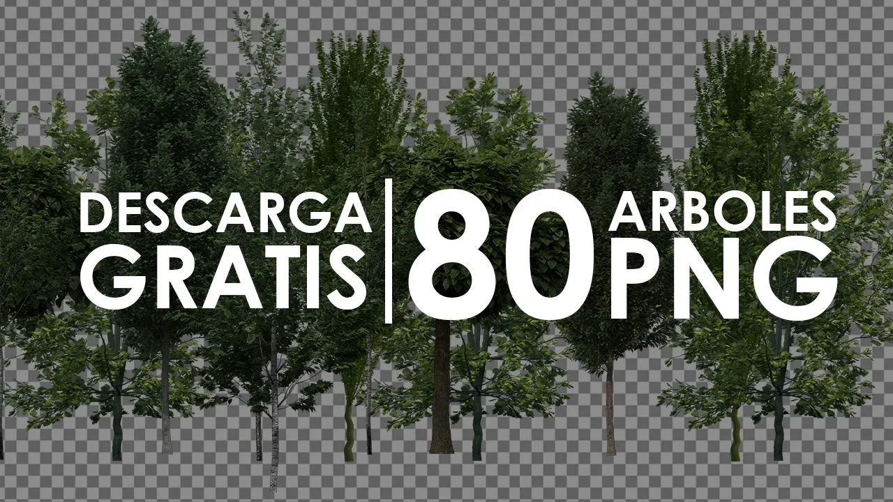 80 Arboles PNG para descargar gratis - Gov3dstudio 80 Arboles PNG para descargar gratis - Gov3dstudio