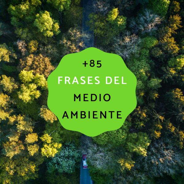 85 frases del medio ambiente para niños - con FOTOS 85 frases del medio ambiente para niños - con FOTOS