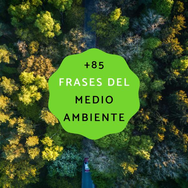 85 frases del medio ambiente para niños - con FOTOS