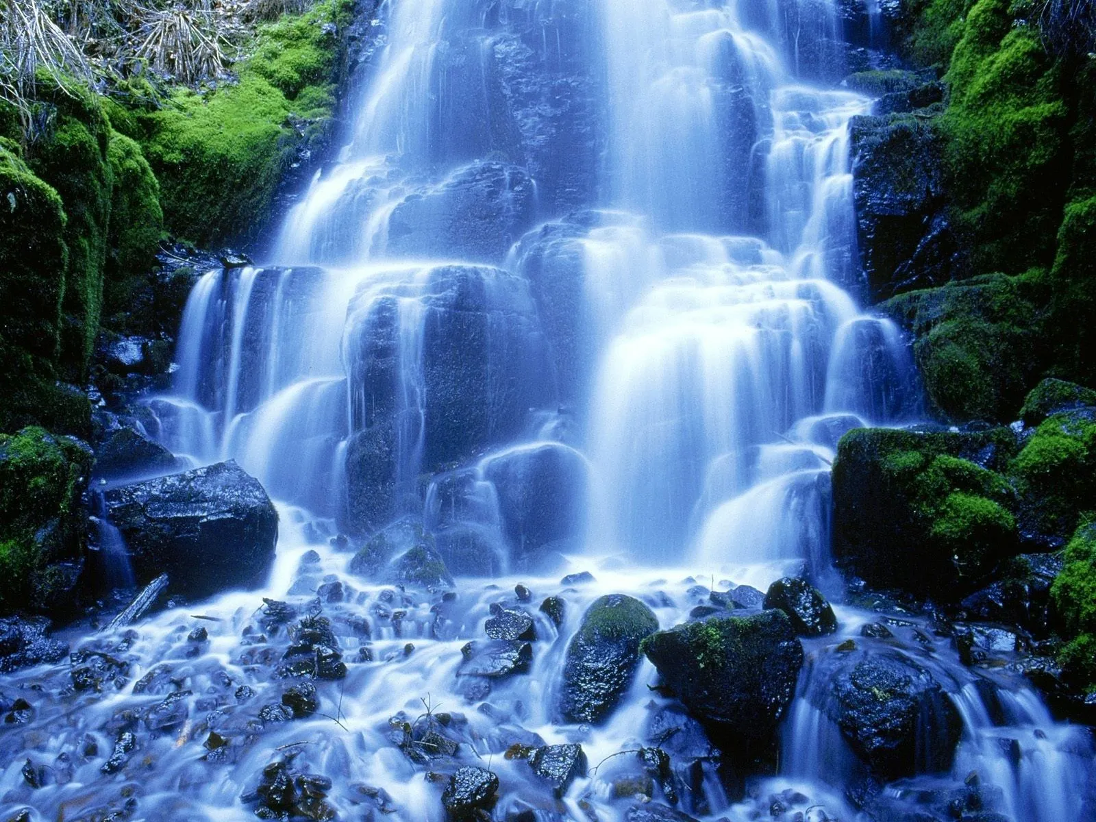 87 bellas imágenes de la naturaleza para fondos de pantalla 87 bellas imágenes de la naturaleza para fondos de pantalla