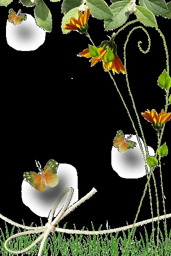 8a png molduras flores molduras para baixar 8a png molduras flores molduras para baixar