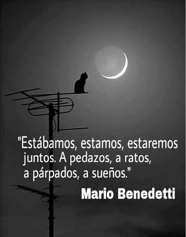 907adf7883601e503df0639f914b3 ...