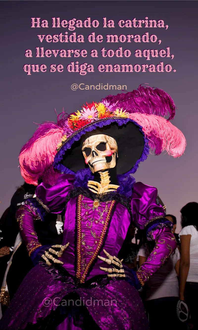 93 ideas de Frases y Calaveras literarias | calaveras literarias, calaveras, calaveras literarias chistosas 93 ideas de Frases y Calaveras literarias | calaveras literarias, calaveras, calaveras literarias chistosas