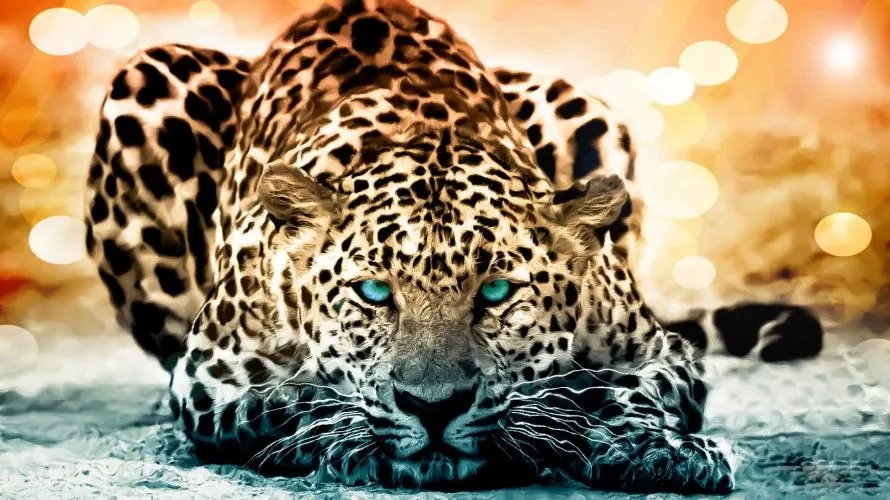 951367_Tigre_Ojos_Azules.jpg