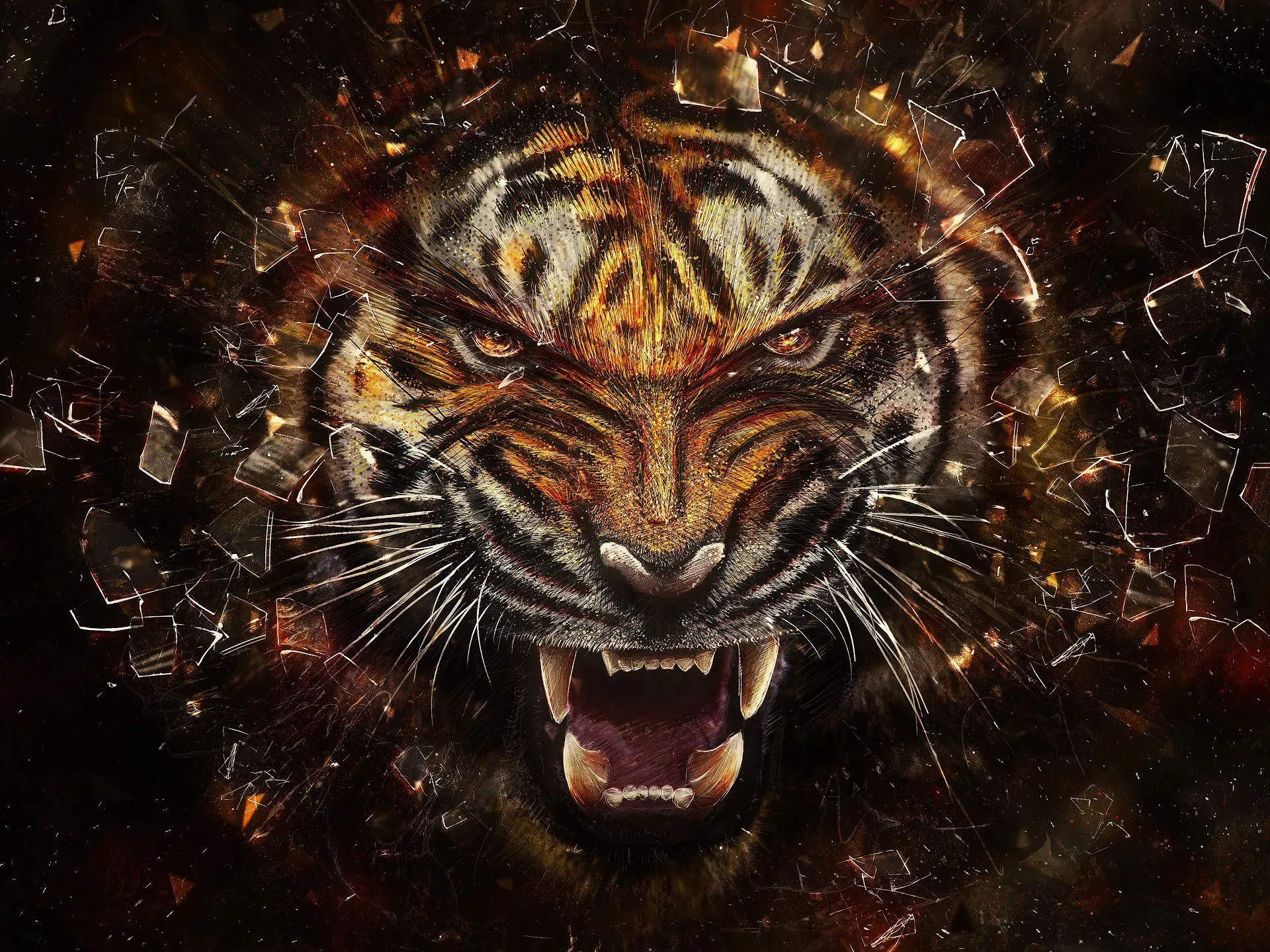 983 Tiger Wallpapers | Tiger Backgrounds