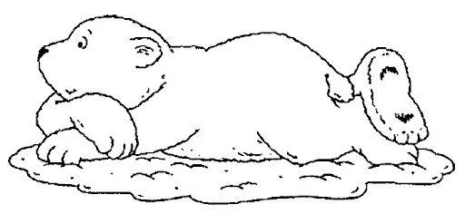 DIBUJOS DE OSOS PEREZOSOS PARA COLOREAR