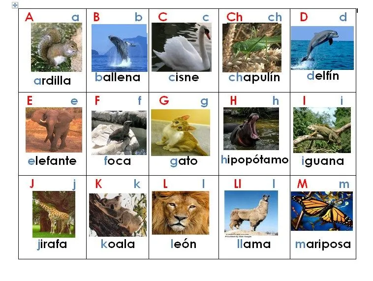 Abecedario con dibujos de animales | Material Educativo