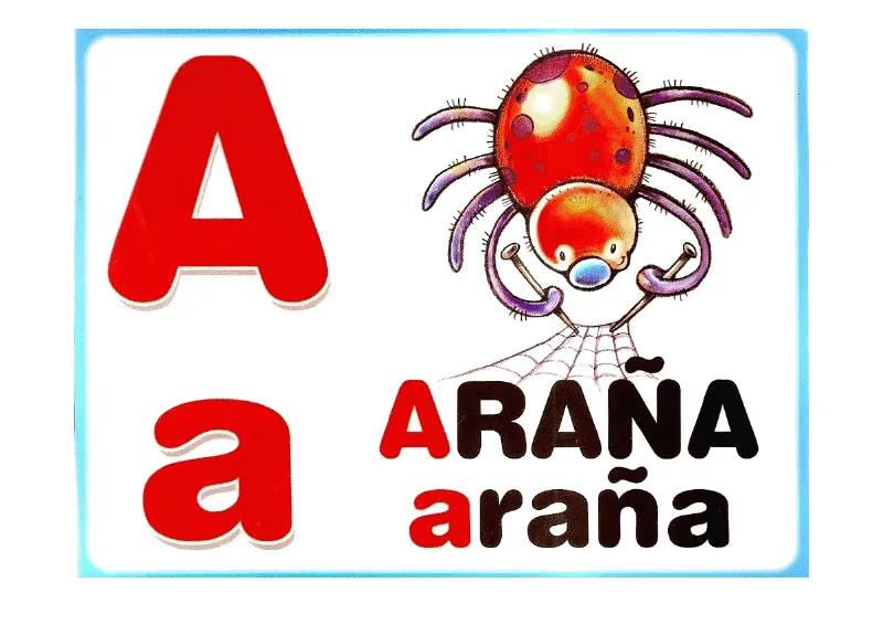 Abecedario ilustrado de animales - Imagui