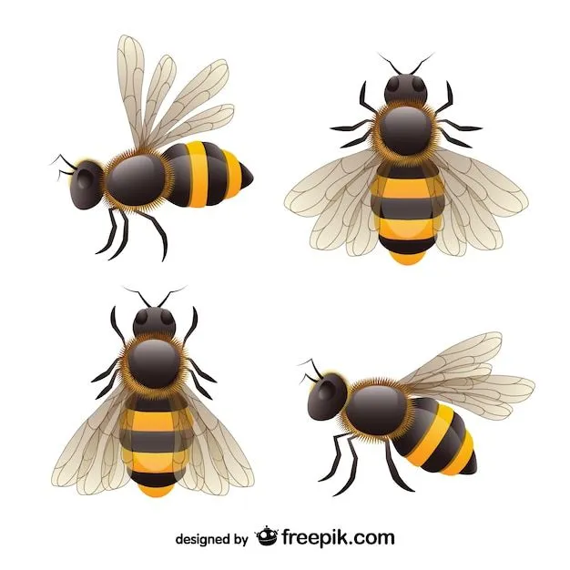 Abeja | Fotos y Vectores gratis