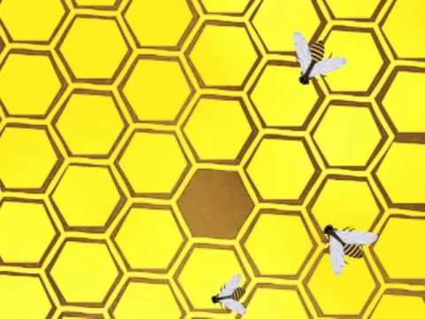 Abejas en Panal ok - YouTube