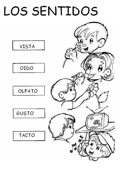 Las Abejitas: Actividades del cuerpo e identidad sexual Las Abejitas: Actividades del cuerpo e identidad sexual