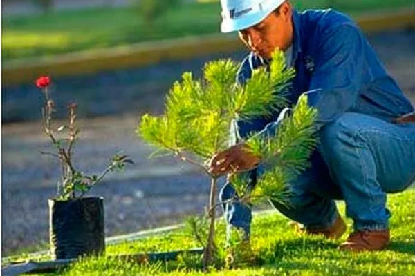 Abierto Concurso para proteger el ambiente La Crónica del Quindío ...