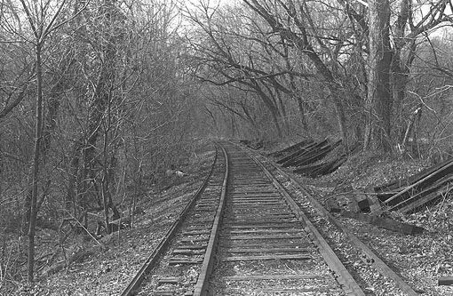 Los Abismos Siderales: El tren in vitro