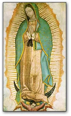 Abortion - Pro Life - Novena a Nuestra Señora de Guadalupe Abortion - Pro Life - Novena a Nuestra Señora de Guadalupe