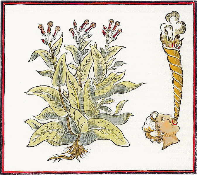 abril 2013 | El trauma de la pipa