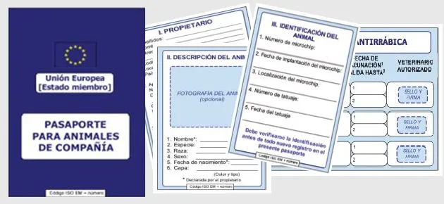 abril | 2014 | historiasveterinarias/vetstories abril | 2014 | historiasveterinarias/vetstories