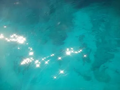 UN ABRIL ENCANTADO: fondos del mar de Menorca...