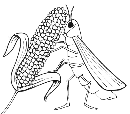 ME ABURRE LA RELIGIÓN: PLAGA 8. LAS LANGOSTAS ME ABURRE LA RELIGIÓN: PLAGA 8. LAS LANGOSTAS